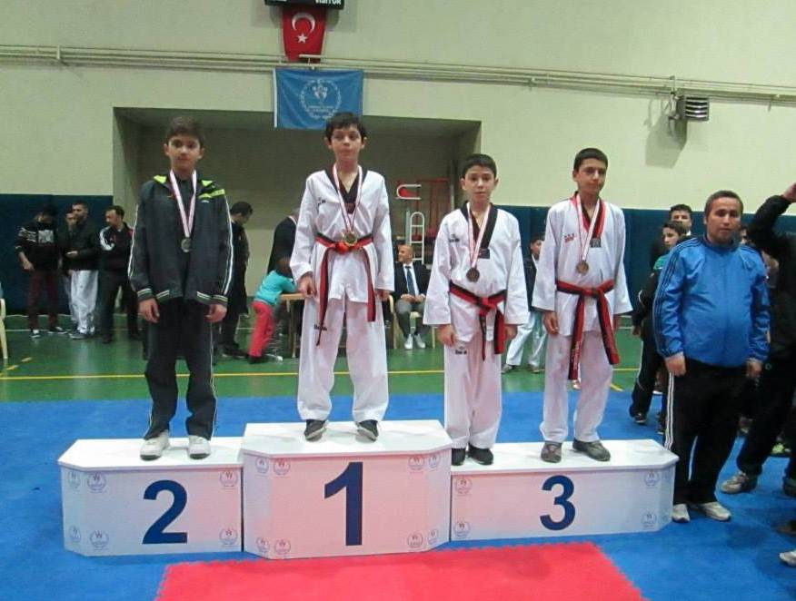 Sakarya Büyükşehir Belediyesi Spor Kulübü